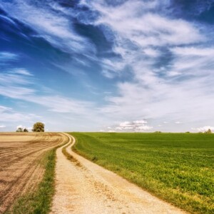 Land Property Service Croma Enterprises Land Property Service